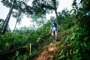 BIB: 
                            <button type="button" onclick="openModal(26201812)" class="btn btn-primary btn-sm float-right btn-popup" data-toggle="modal" data-target=".modal-high-quality">
                        <i class="fas fa-shopping-cart"></i> Add to Cart
                    </button>
                                            <button type="button" onclick="isThisMe(26201812, true)" class="btn btn-success btn-sm float-right btn-popup btn-isme hidden" data-toggle="tooltip" data-placement="bottom" title="นี่คือรูปของคุณใช่ไหม คลิกที่นี่เพื่อเอาเข้าอัลบั้ม">
                        <i class="fas fa-plus"></i> Add to album
                    </button>
                    <button type="button" onclick="isThisMe(26201812, false)" class="btn btn-warning btn-sm float-right btn-popup btn-isnotme hidden">
                        <i class="fas fa-ban"></i> Remove from album
                    </button>